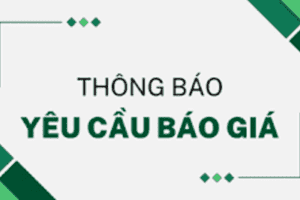 Không có ảnh